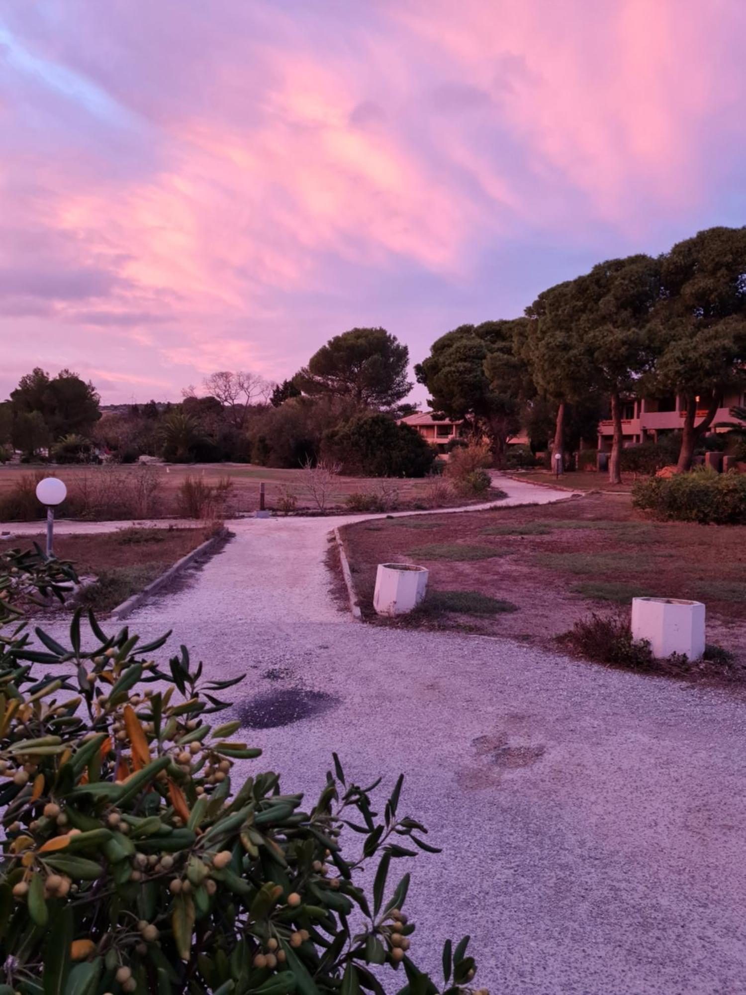 Paisible Maison A L'Ombre Des Pins Fitou Exteriér fotografie