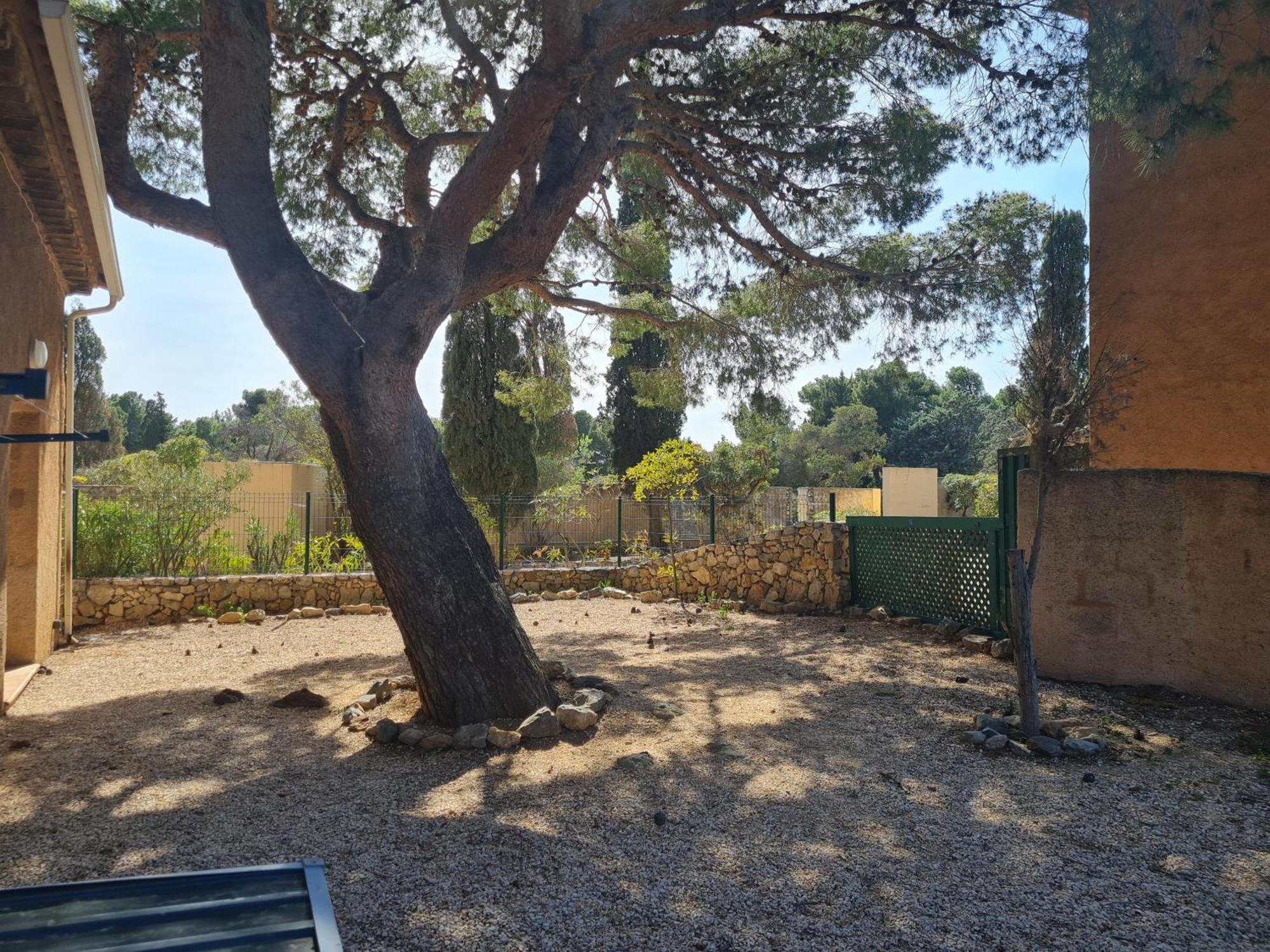 Paisible Maison A L'Ombre Des Pins Fitou Exteriér fotografie